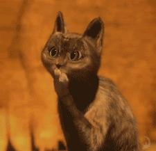 么么哒要谨慎!你的一个吻会让她耳膜破裂,千万记住了