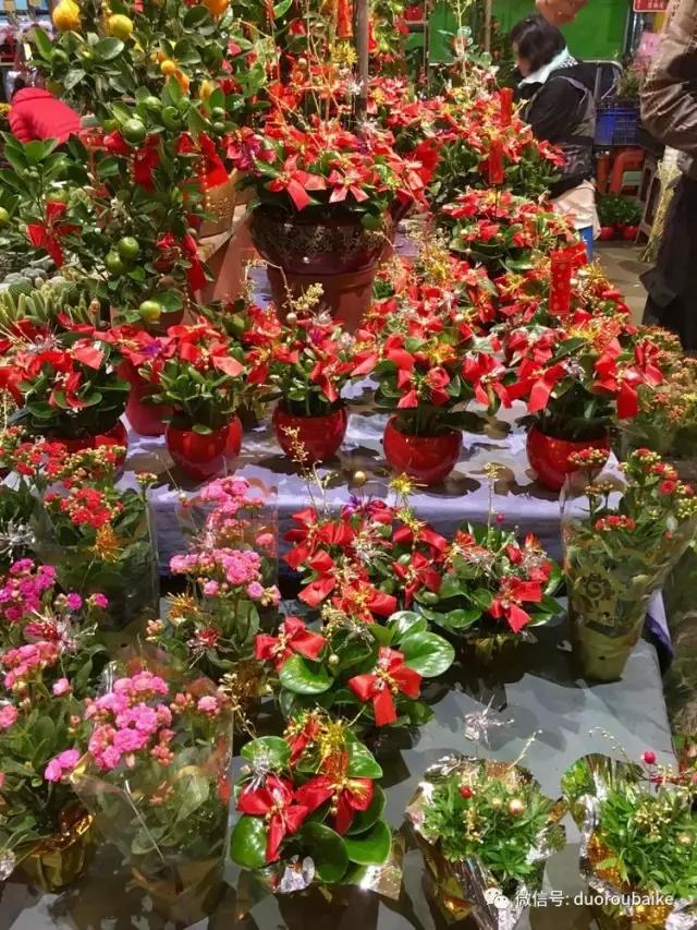 台湾寻肉之旅：小玲带你逛春节的台北花市！