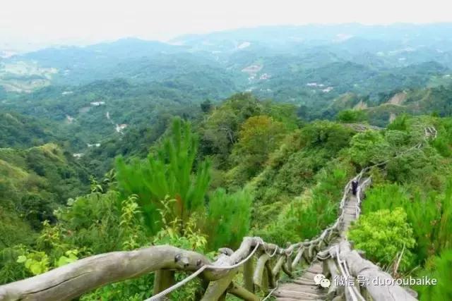 台湾寻肉之旅：小玲带你逛春节的台北花市！