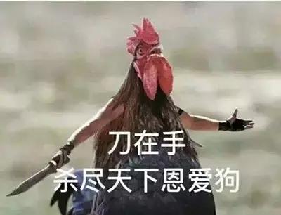 情人节送男友礼物禁忌,情人节送礼指南男女适用