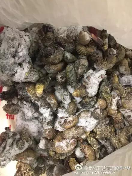 我妈让我带60斤大米去上班？