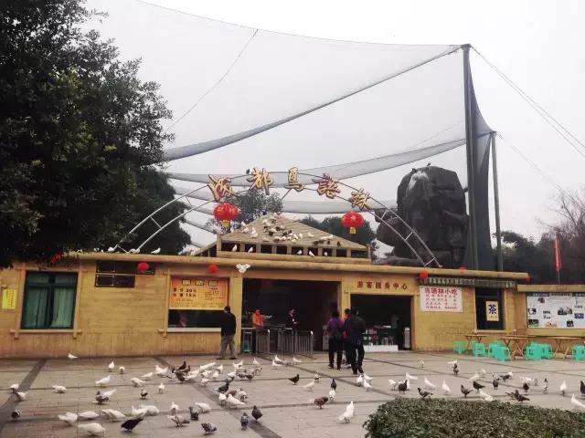 鑺辨捣閲嶇鏉ヨ,鑺辨捣鏉ヨ