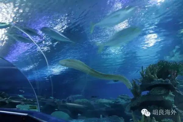 马来西亚旅游必须要去的10个地方 (马来西亚值得去的地方)