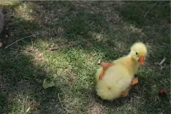 120岁生日倒计百天！爱浙大有120个理由，也许1个已足够！