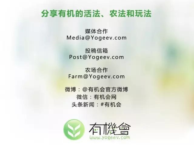 你拥有美丽天鹅颈吗,你拥有一个健康的身体吗