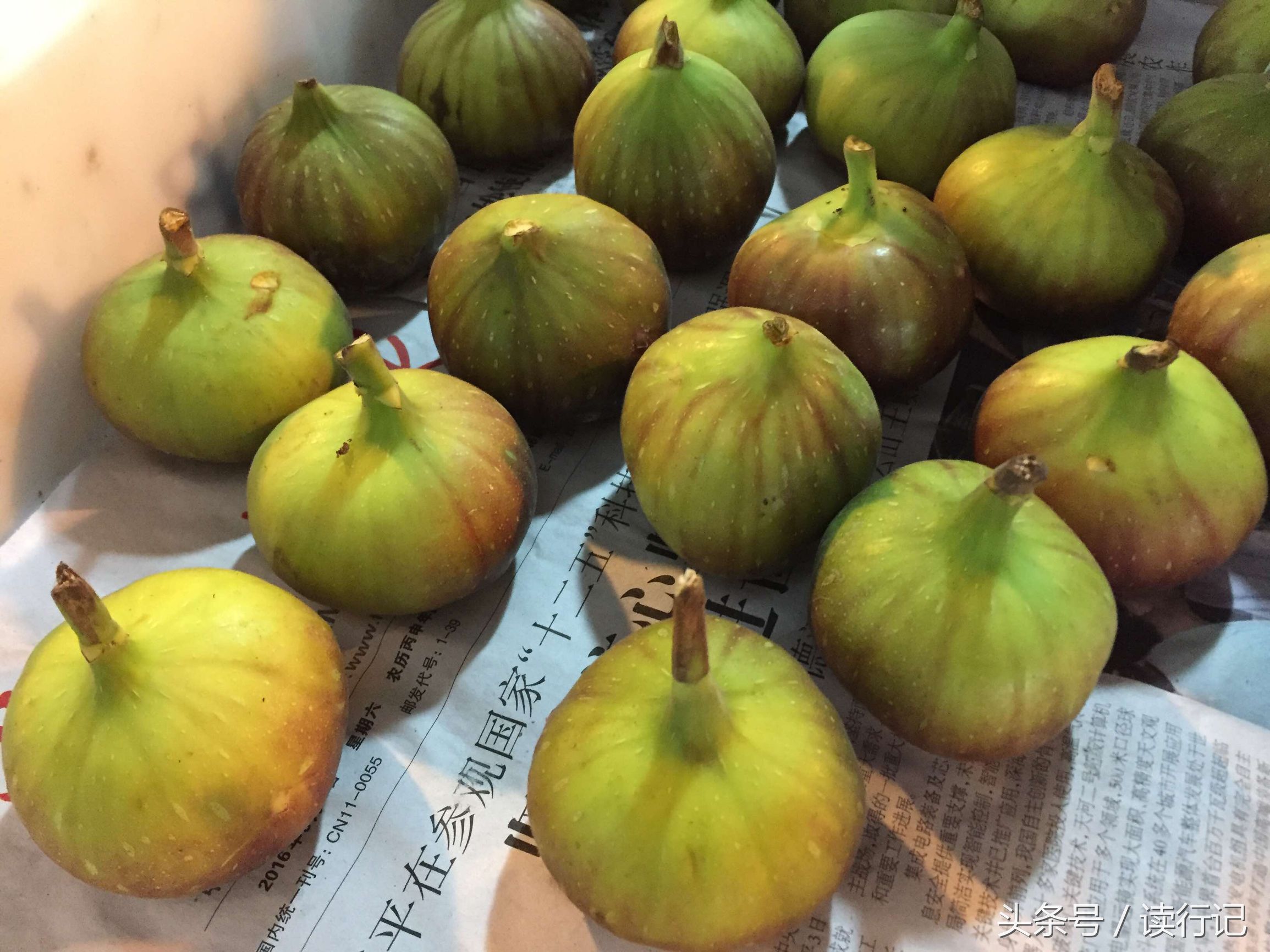 90后年轻夫妻过年不回家，摆摊卖水果日入五千元