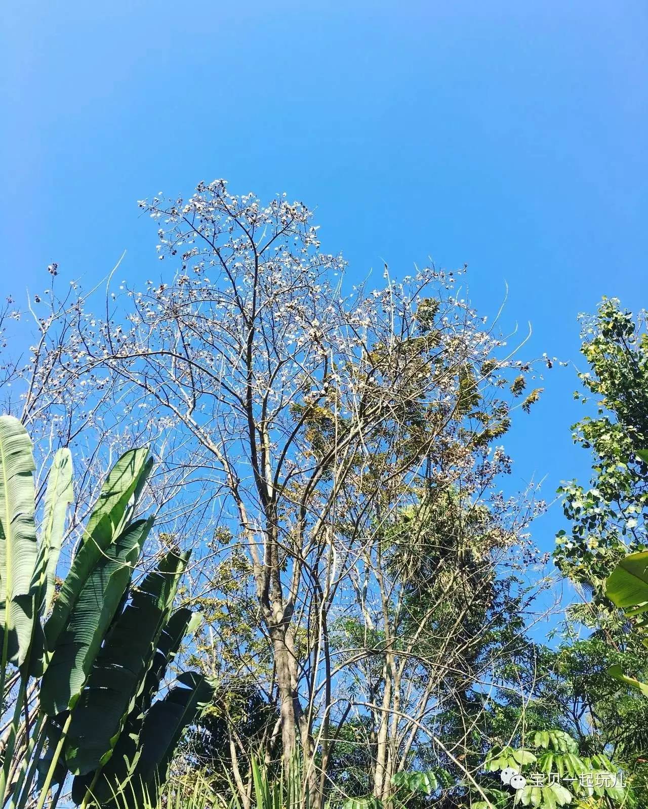 老娘的青春那么短，花点钱开心又何妨