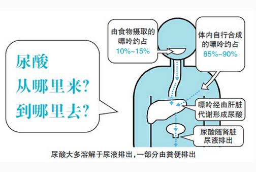 痛风草能治痛风吗,什么草治痛风最有效