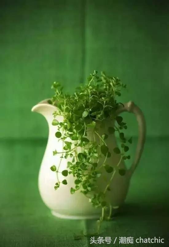 壁纸控喜欢的小清新,壁纸控原神篇