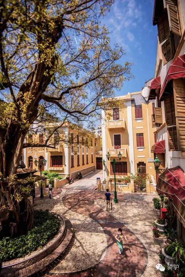 澳门旅游自由行攻略详细,去澳门旅游自由行怎么玩