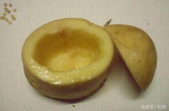 蚯蚓红虫正确使用方法,红虫蚯蚓窝料的使用方法