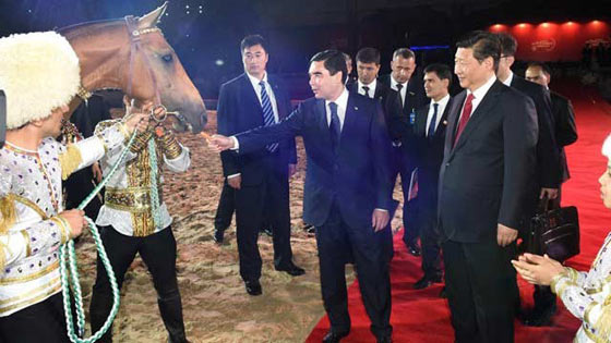 外国真品汗血宝马,汗血宝马多少钱一匹在美国