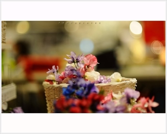 卡尔蔡司经典的50mmf1.4,卡尔蔡司镜片1.56和1.67