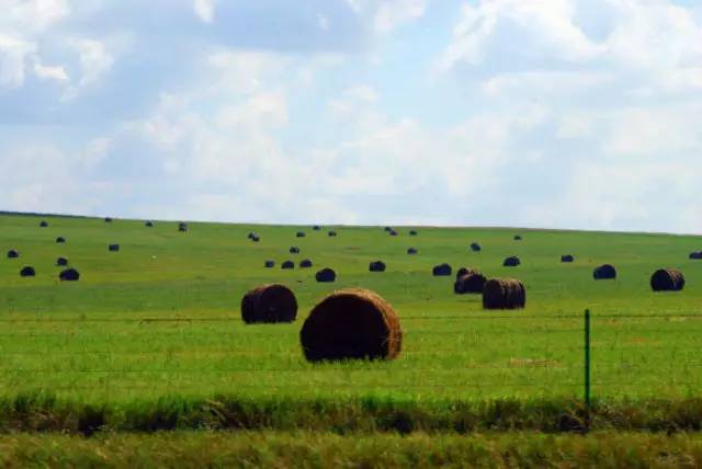 五大行动学习要求,五大行为训练