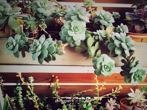 北京最浪漫的咖啡店,北京情人节约会餐厅推荐