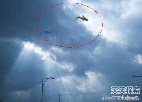 龙存在的证据大全,古代龙真实存在吗