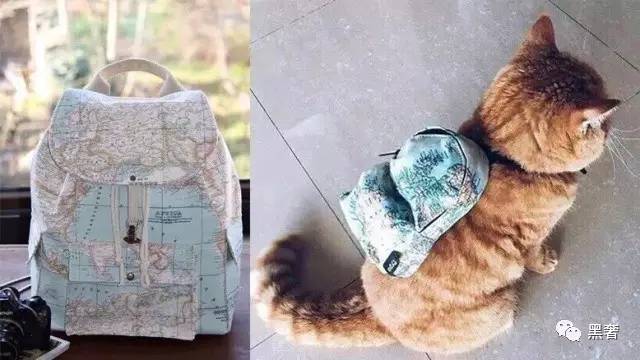 快要开学了你的行李准备好了吗,马上开学了你想要什么样的书包