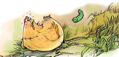 那只小母鸡，你收敛点！是你本命年也不能太过分！