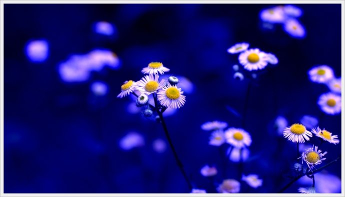 卡尔蔡司经典的50mmf1.4,卡尔蔡司镜片1.56和1.67