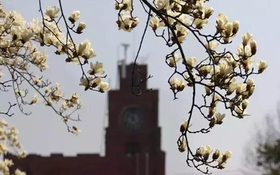 120岁生日倒计百天！爱浙大有120个理由，也许1个已足够！