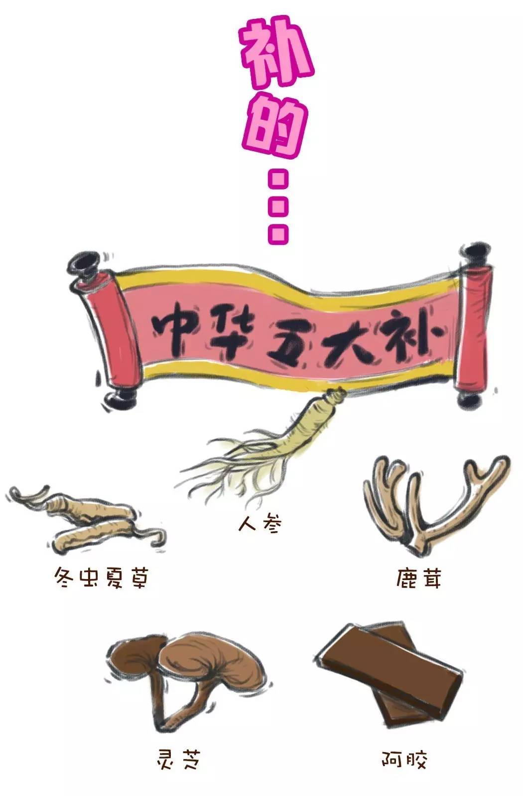 鹿茸灵芝人参酒有副作用吗,鹿茸喝完身体会有什么反应