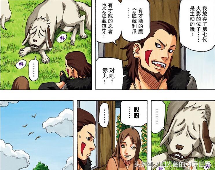 火影忍者结局鸣人和雏田,火影忍者真正漫画结局