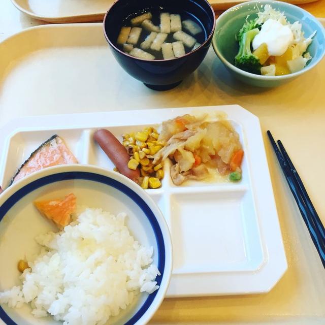 日本dokkan植物酵素老爸评测 (春节日本15天自由行)