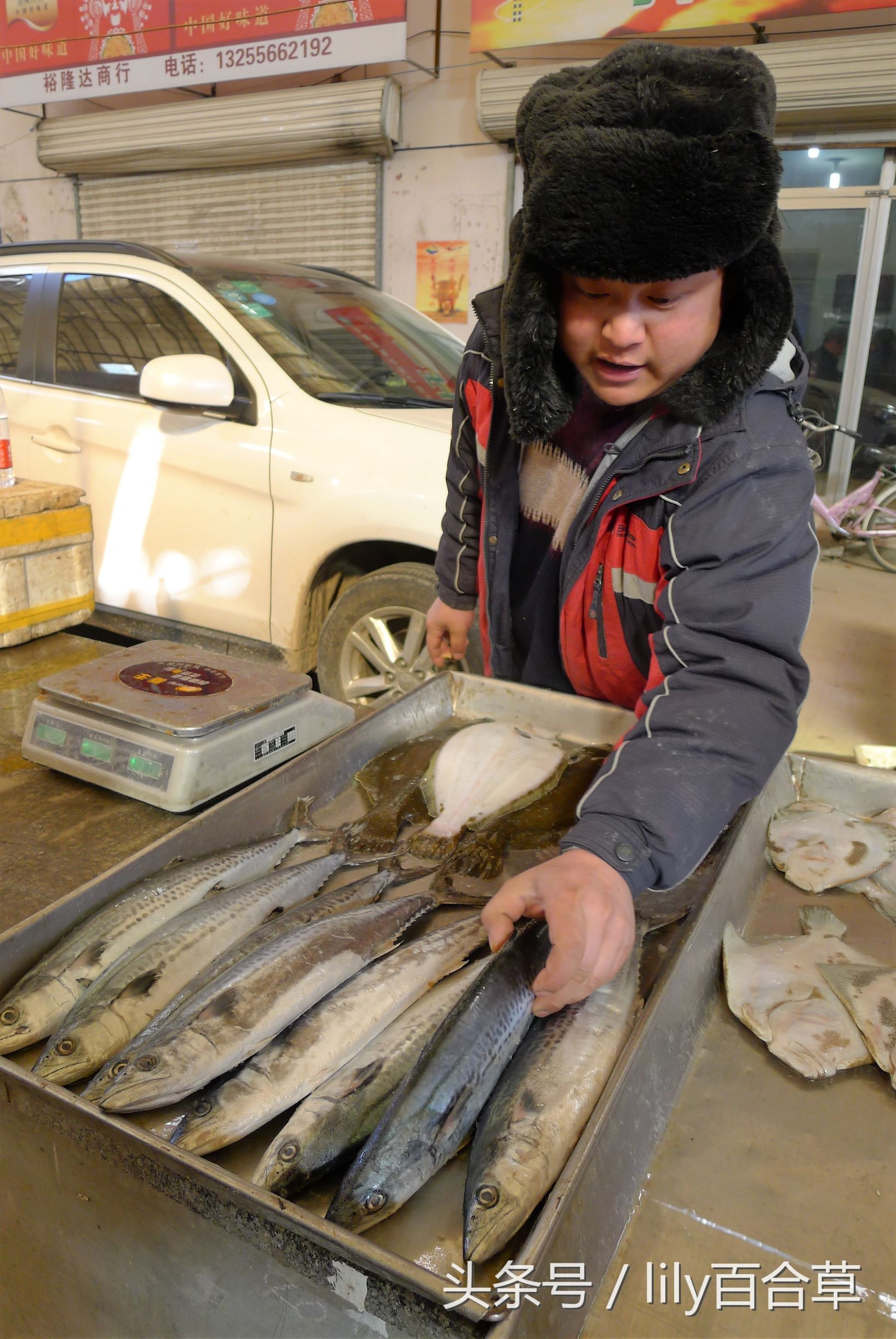 吃海鲜适合带什么,回家路上可以带海鲜吗