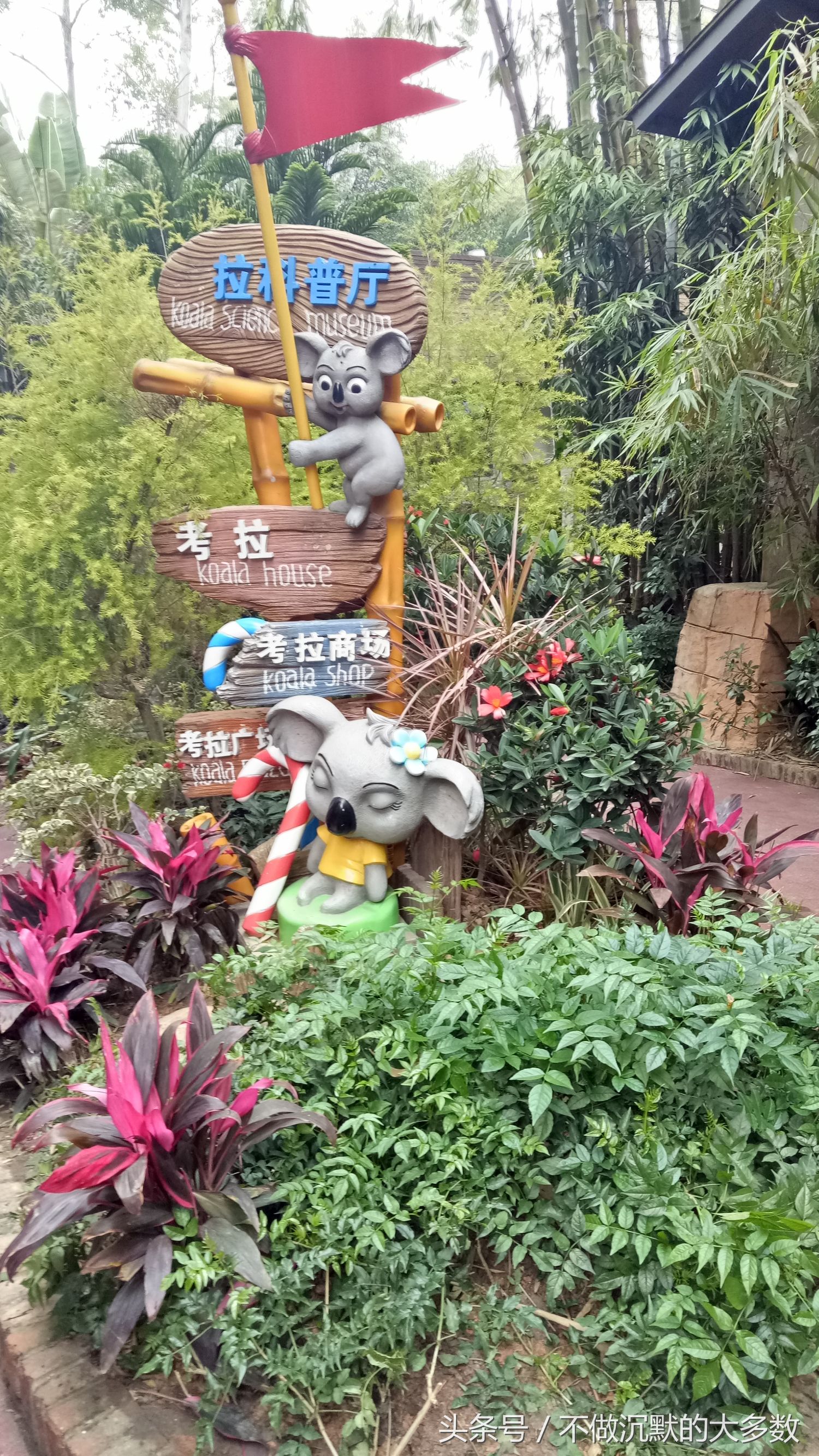 长隆野生动物园金蛇秘境有毒蛇吗,长隆野生动物园金蛇秘境怎么走