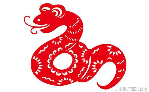 十二生肖巳蛇对应时辰,十二生肖巳蛇五行详解