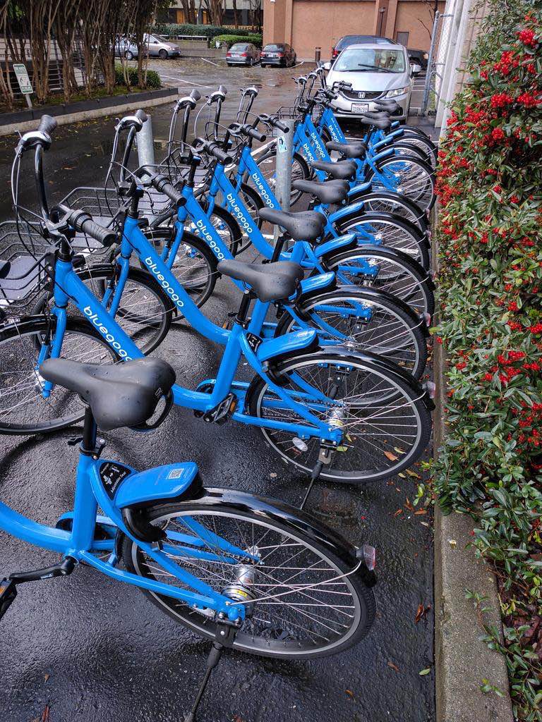 不黄也翻牌！小蓝单车霸气袭来