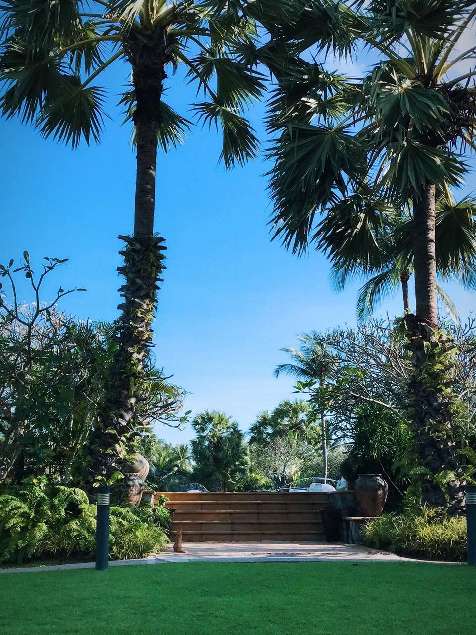 萨瓦迪卡！就在KohSamui撒野吧！