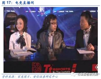 中国网络游戏产业发展报告,网络游戏行业调研报告