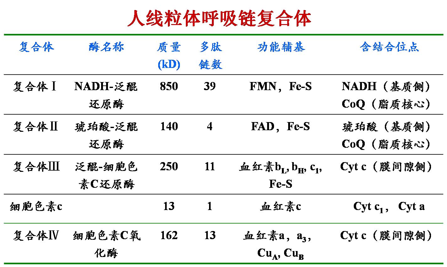 氰化物中毒是什么原理,氰化物中毒的原理