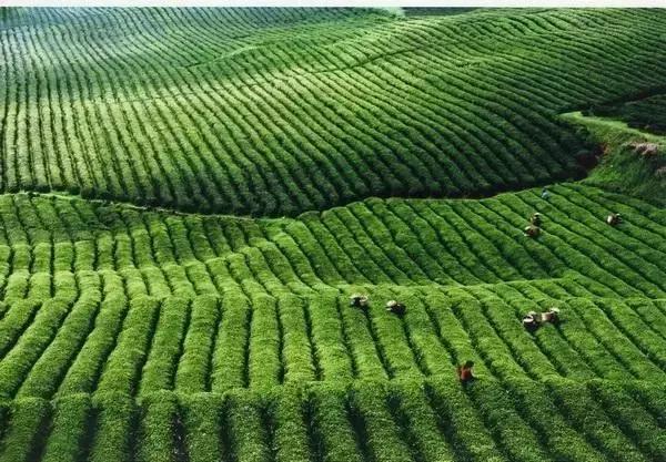 贵州省各县区经济排名,贵州地区总值多少