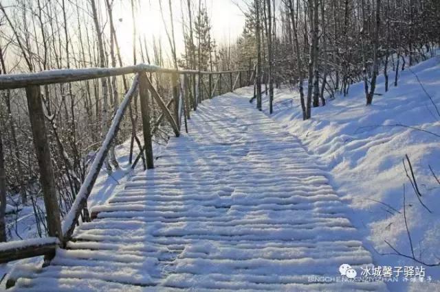 北极神龙湾、女脚湾，天地间画出的婀娜