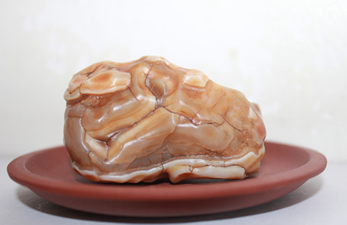 珍馐佳肴饕餮宴,珍馐佳肴宴宾朋