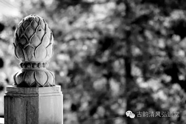 静在自然中,静悟人生真谛