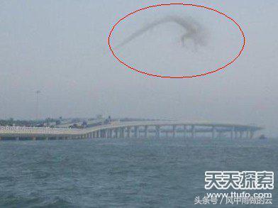 龙存在的证据大全,古代龙真实存在吗