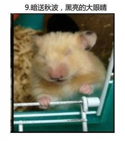 男子买错机票班次改签,男子误抢特价机票后退票