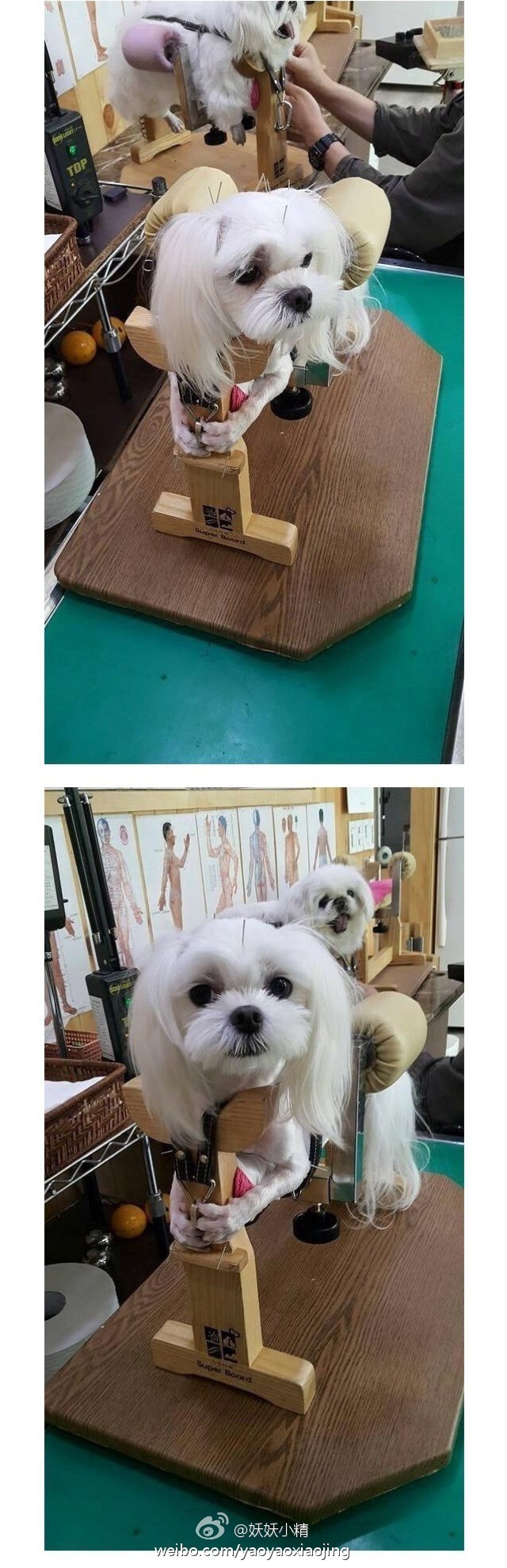 男子买错机票班次改签,男子误抢特价机票后退票