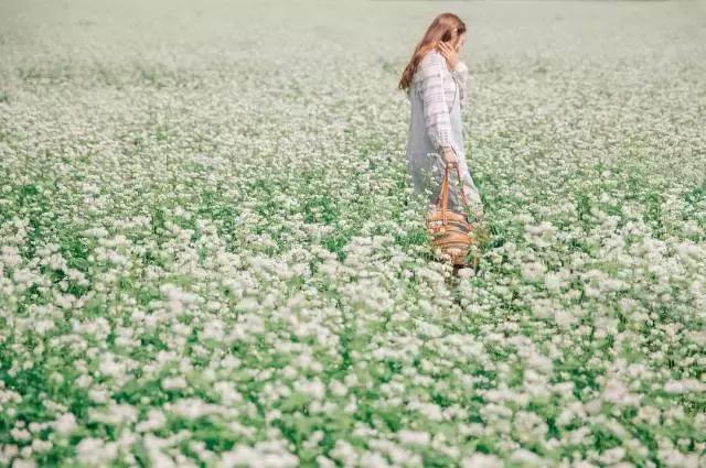 nars在哪买才是正品,nars好用单品