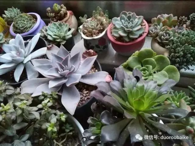 一入肉坑深似海，妈妈姥姥一起上！