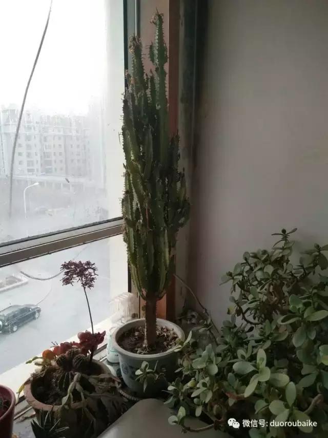 一入肉坑深似海，妈妈姥姥一起上！