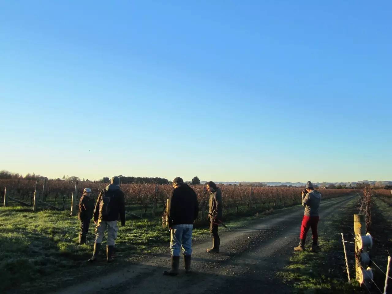 新西兰十大高收入工种排行,新西兰最赚钱的十大职业
