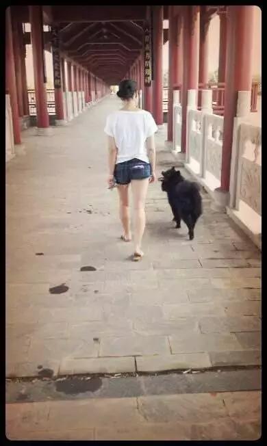 长沙人爱养什么品种的鸟,长沙人为什么喜欢养乌龟