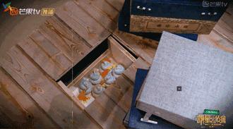 这部国产良心片为何能不火,国产最良心的综艺