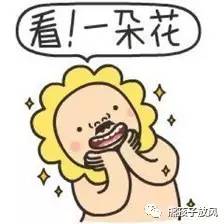 能在异国被警察抓也没谁了吧？这是我的清迈，和你去的不一样！