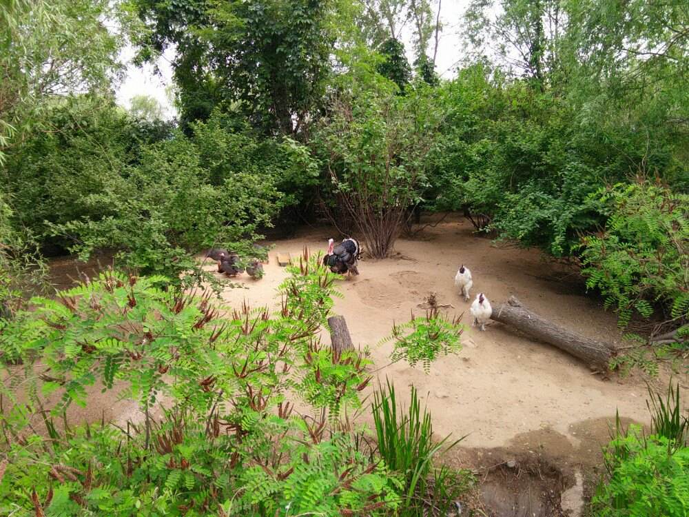 沈阳鸟岛视频,沈阳都有啥桥