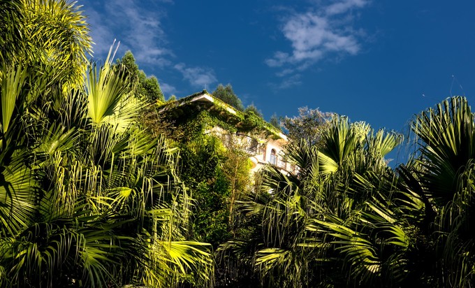 论一个吃货的自我修养小说,论一个吃货的自我修养
